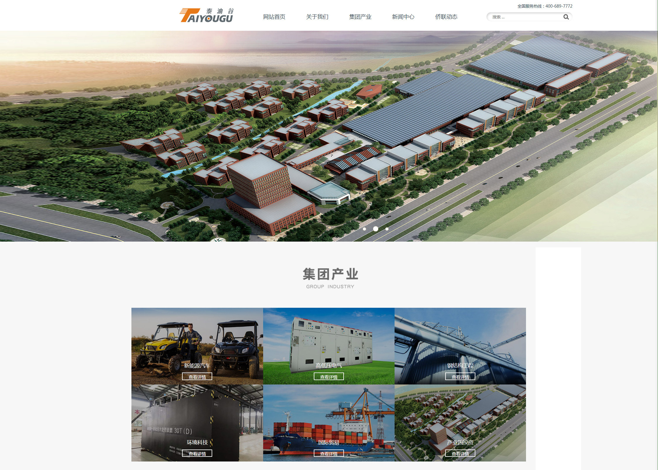 河南泰油谷集团-网站案例展示